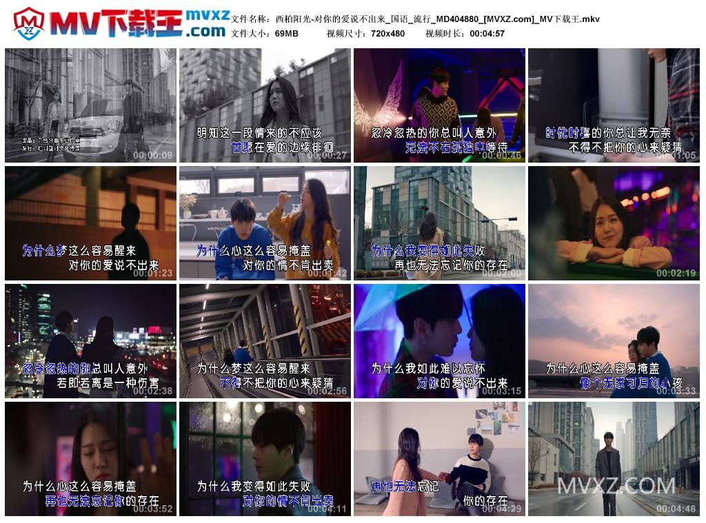 西柏阳光-对你的爱说不出来_国语_流行_MD404880